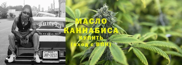 молекула духа Няндома
