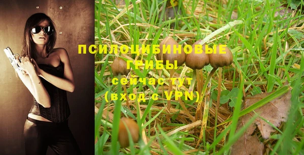 хмурый Нязепетровск