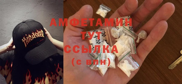молекула духа Няндома