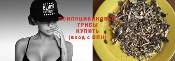 хмурый Нязепетровск