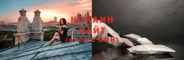 молекула духа Няндома