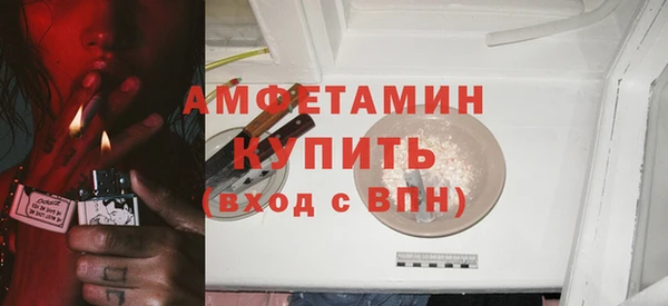 молекула духа Няндома