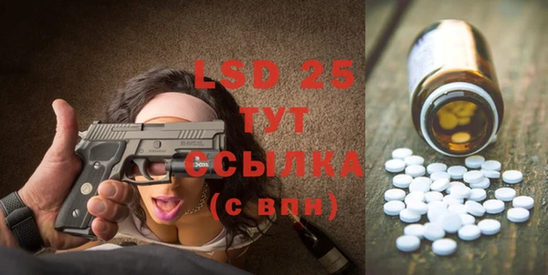 молекула духа Няндома