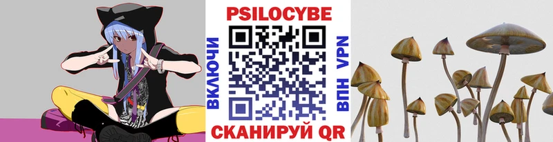 наркотики  Когалым  Галлюциногенные грибы мухоморы 