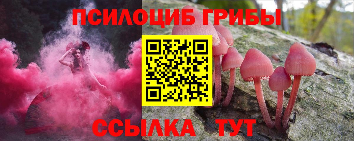 Галлюциногенные грибы Cubensis Когалым