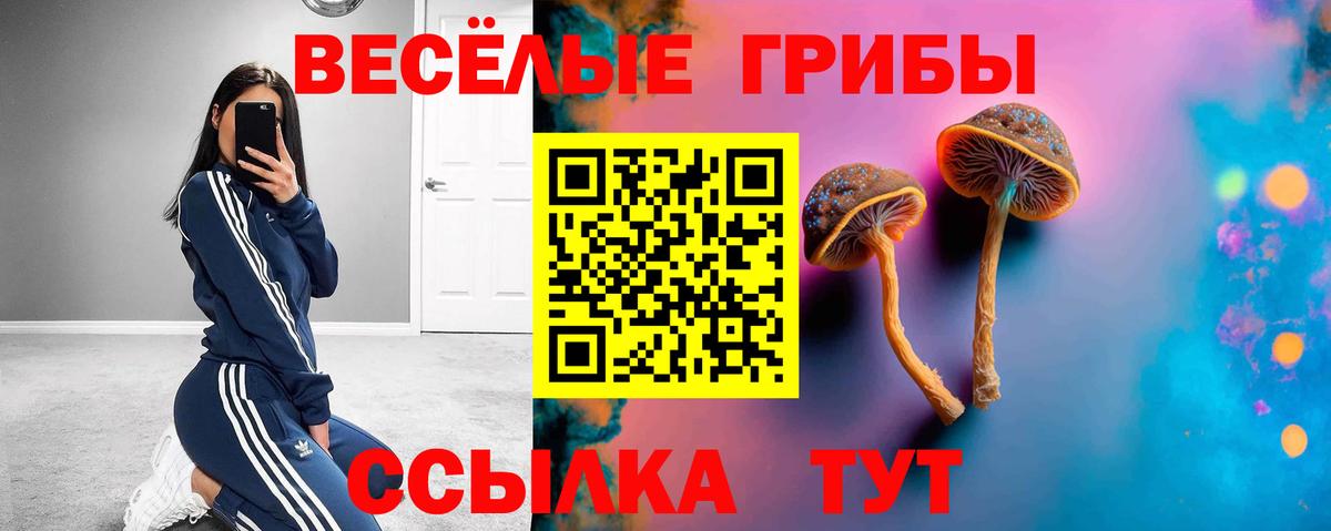 Галлюциногенные грибы Cubensis  Вход с VPN  Когалым 